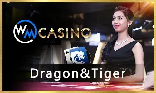 Jili90 Live Casino